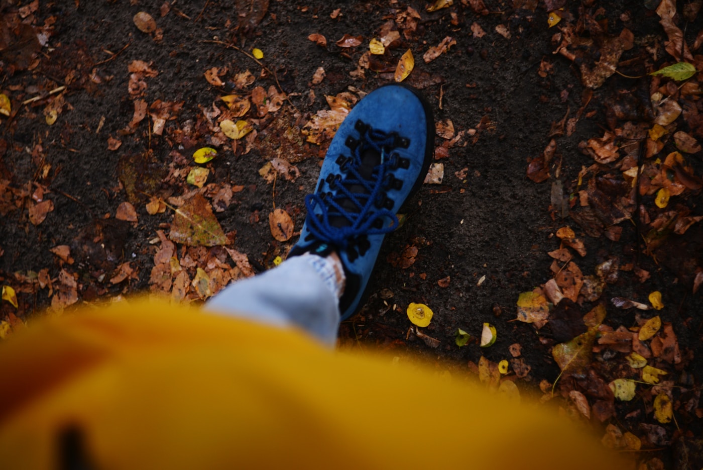 A walking shoe on an autumn path